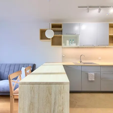 In - River House アパートホテル シュチェチン